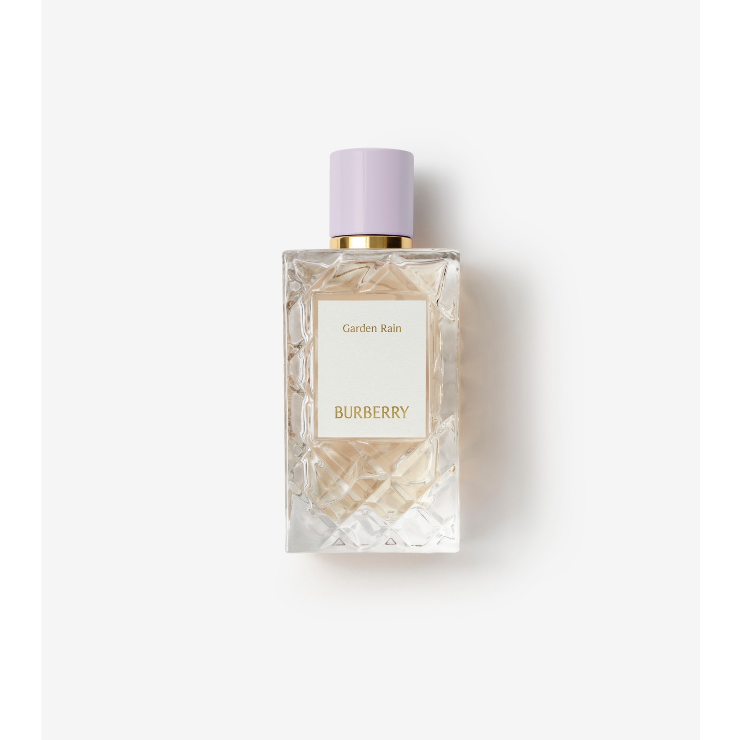 Burberry Prorsum Collection Garden Rain Eau de Parfum 100ml