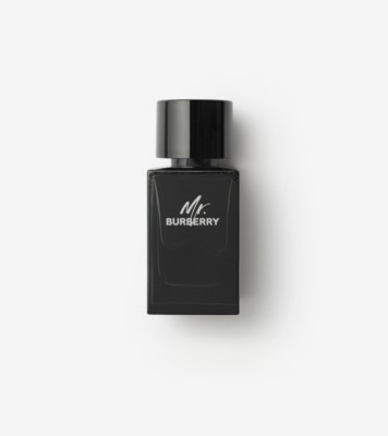 Burberry mr parfum online