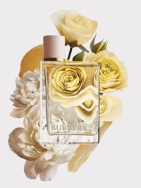 Olfactorum: Burberry's Her Eau de Parfum : chaudron magique.