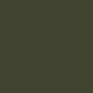 Dark khaki green