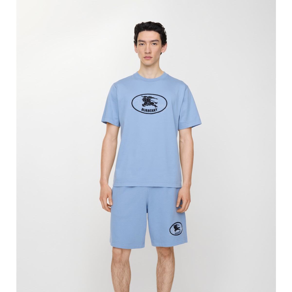  Embroidered Knight Stamp Shorts