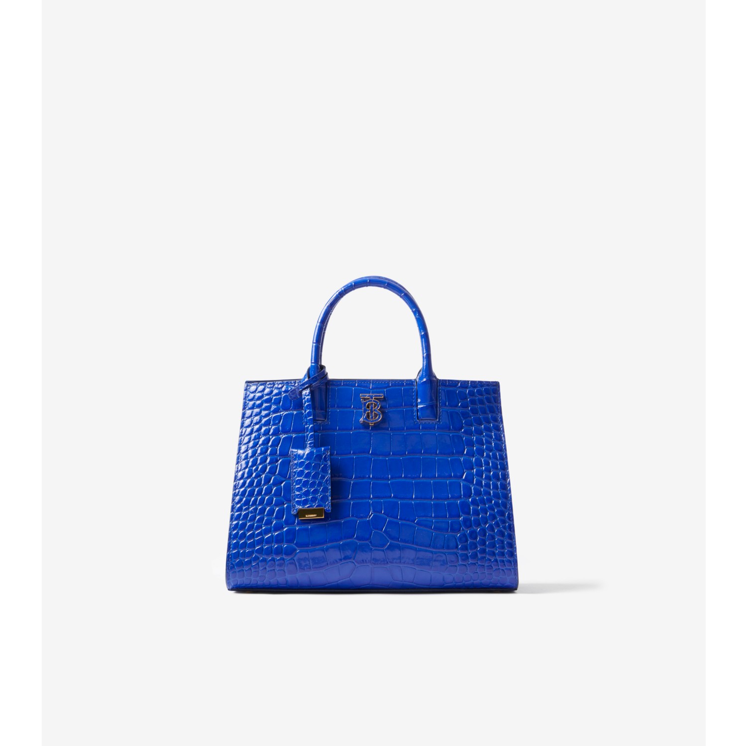 Louis Vuitton Exterior Colorful Bags & Handbags for Women