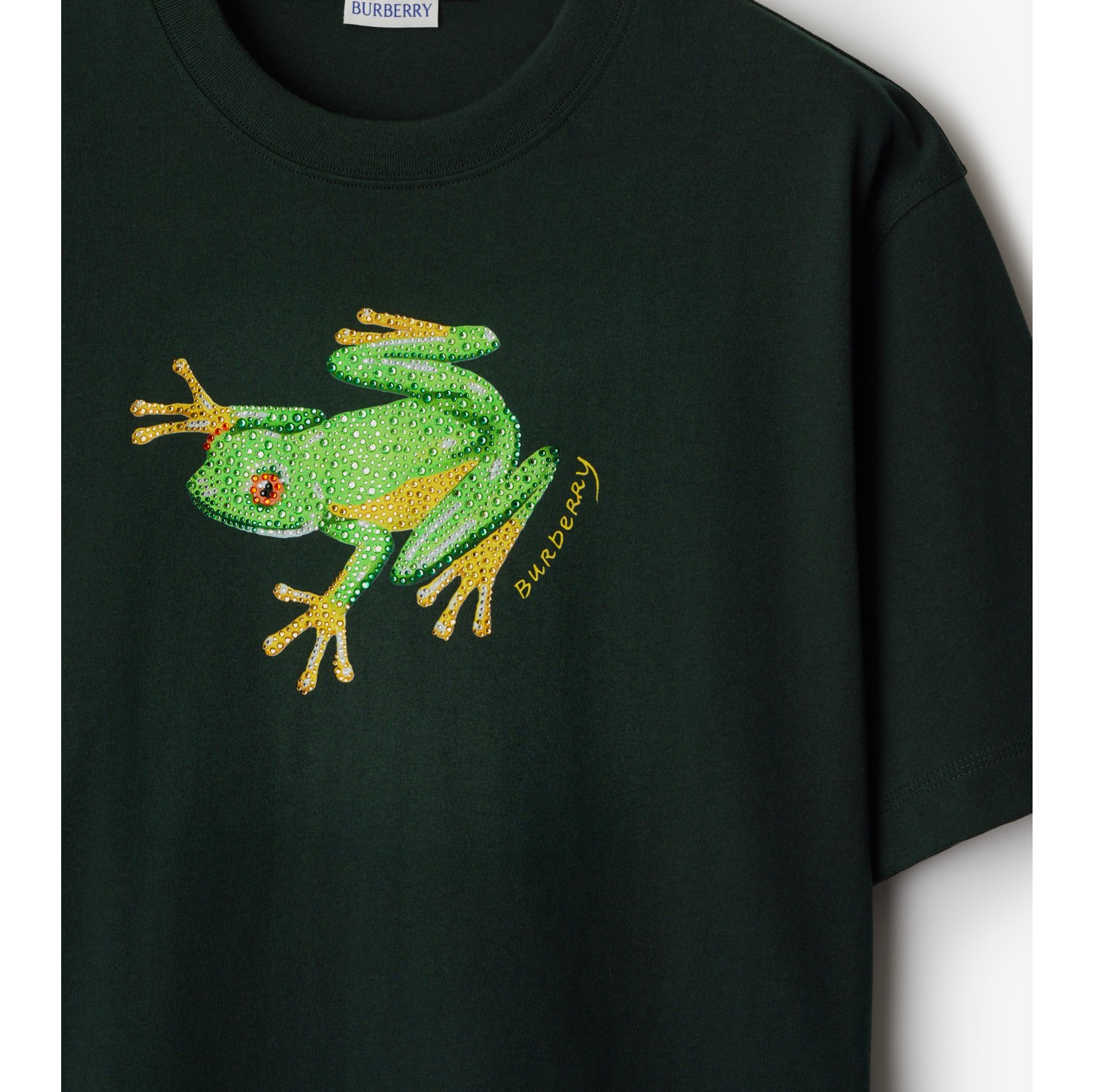 fireberry shirt