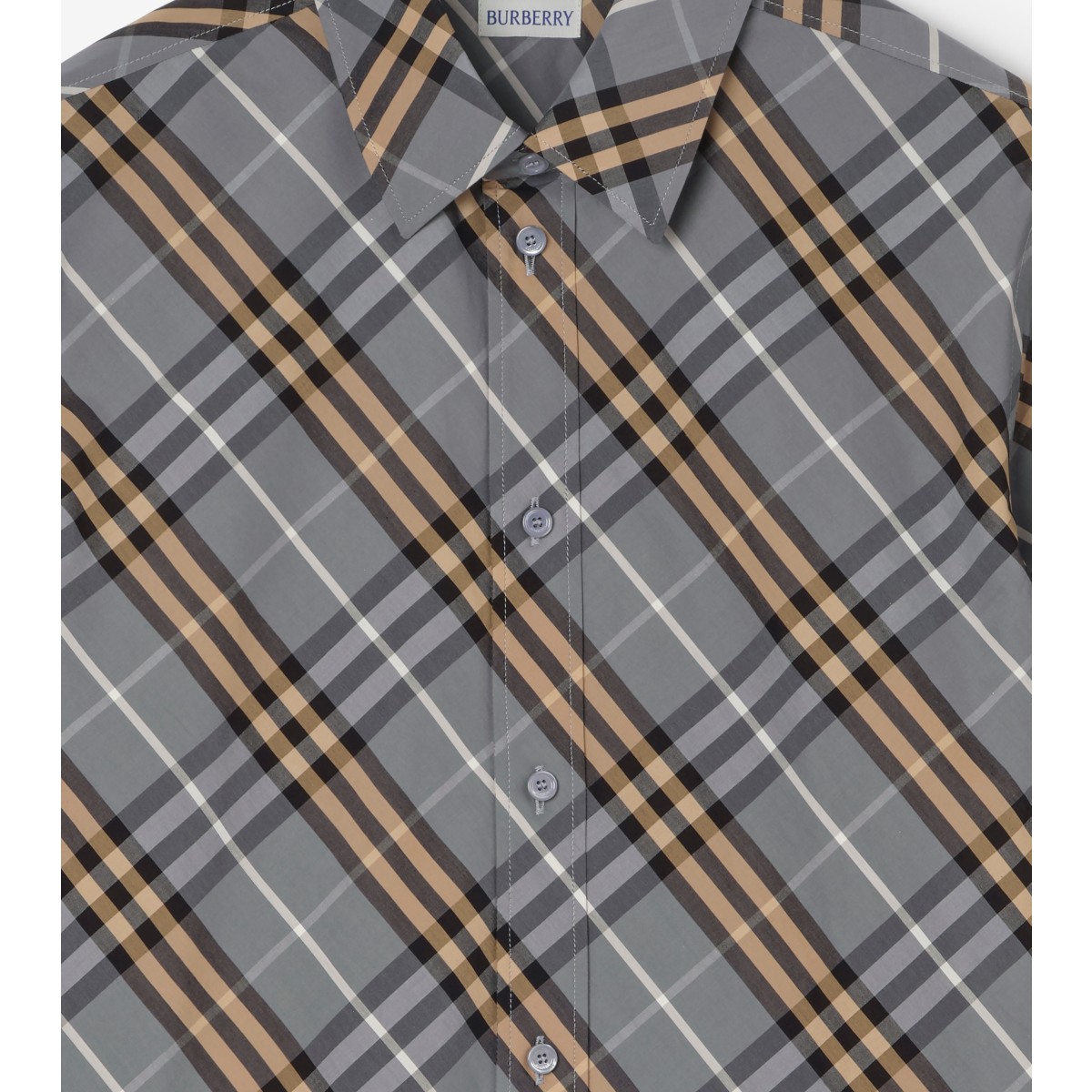  Check Regular Fit Cotton Shirt