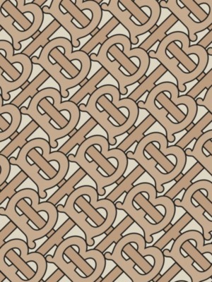 burberry france