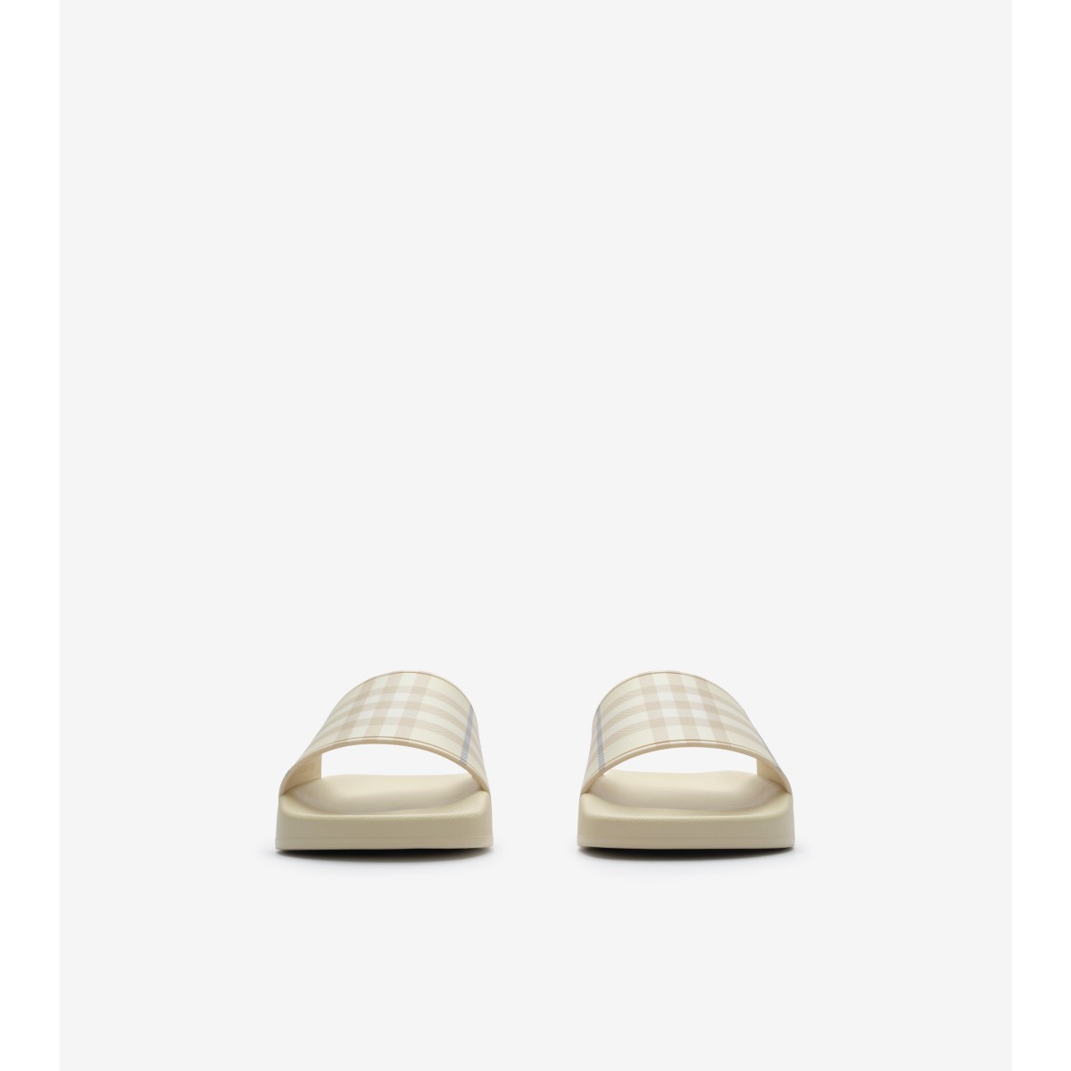  Check Slides