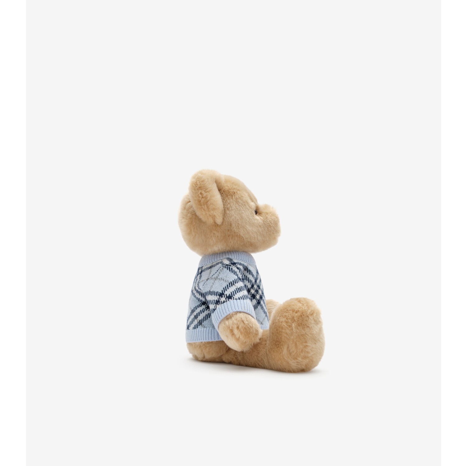 Thomas Bear