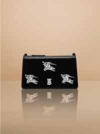 Crystal EKD Velvet Mini TB Shoulder Pouch