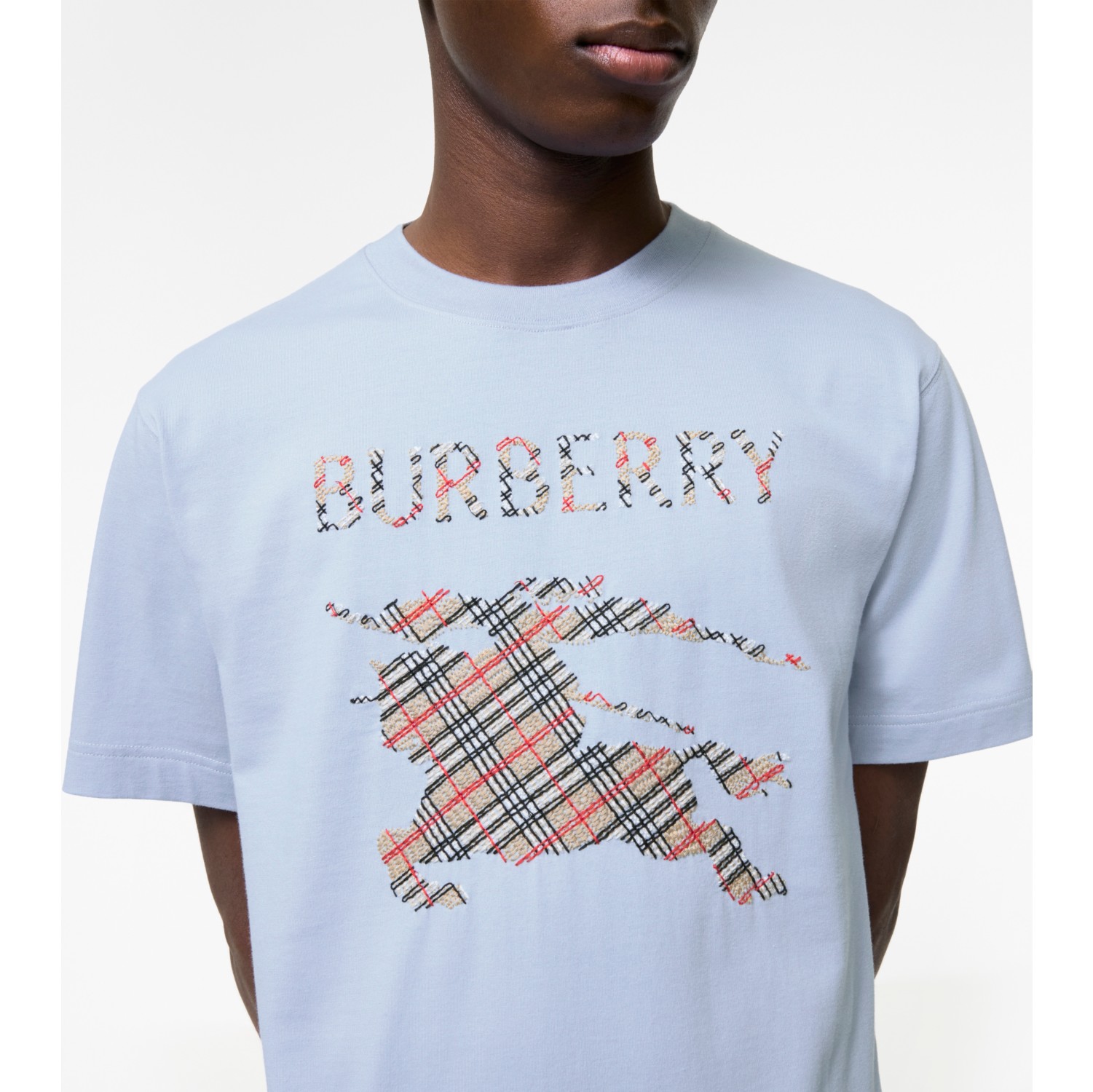 BURBERRY Tシャツ 80488C7E-8C2C-4CF8-B2BD-