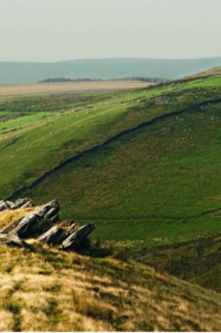 Imagem de uma paisagem verde no campo. 