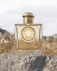 Burberry parfum outlet groupe