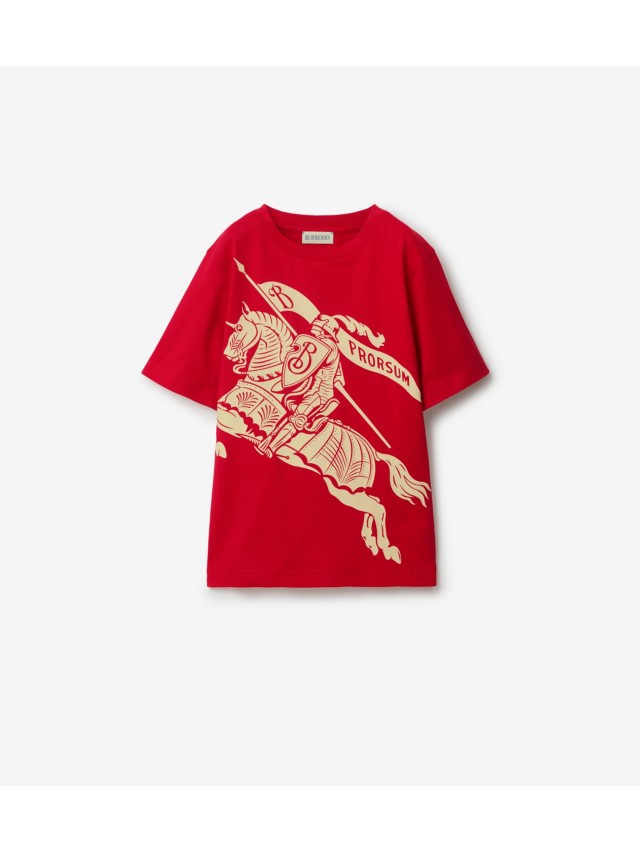 Boys burberry hot sale t shirt