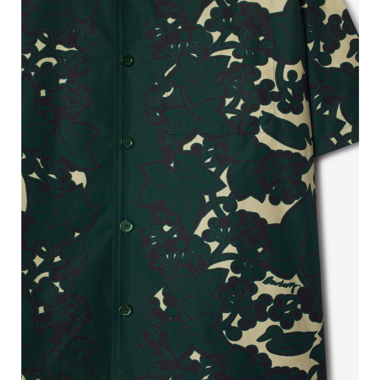 Chemise en coton Ã  motif lierre (Jungle) - Homme | Site officiel BurberryÂ®