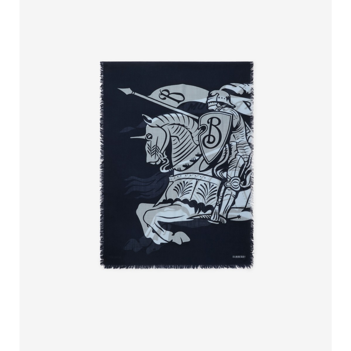 Burberry Wide Ekd Wool Scarf In Bank