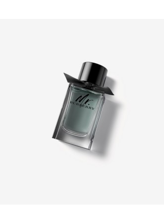 Mr. Burberry Eau de Toilette 150ml - Men | Burberry® Official