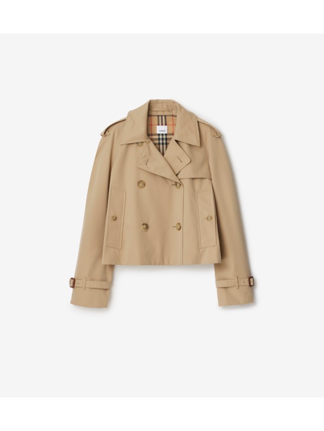 E78B0BD0-F37F-48A5-B627-