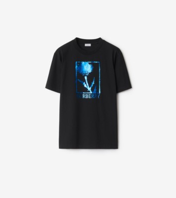 E858BA90-CD94-47C7-B972-