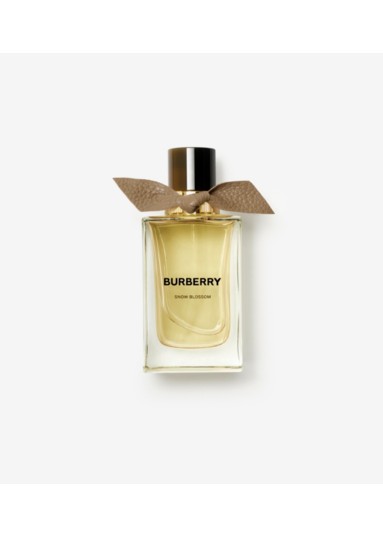 Luxury Beauty Burberry Official
