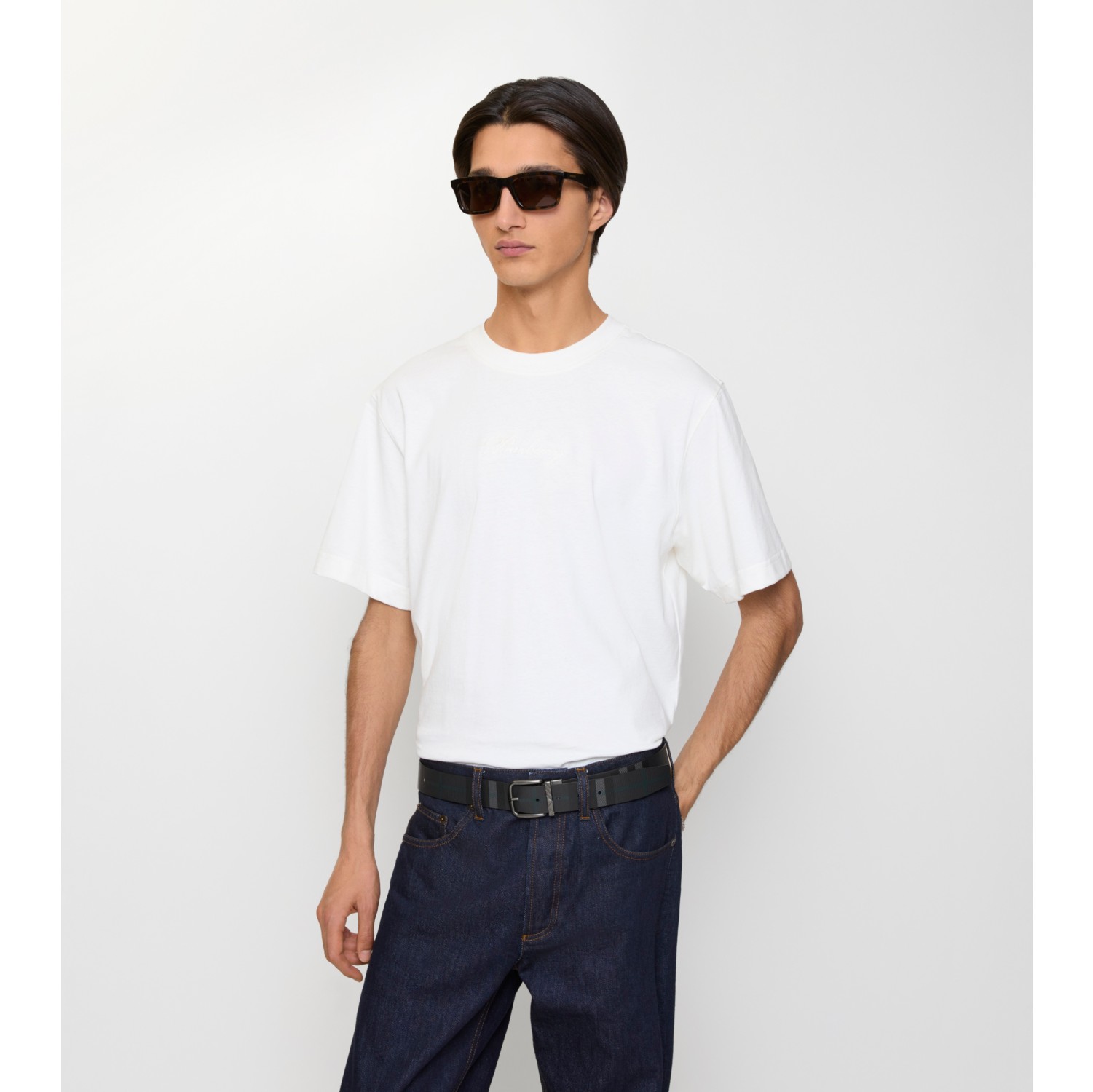 Reversible Check Pin Belt