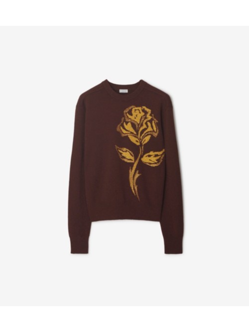 Shop Burberry Rose Wool Blend Sweater In Treacle
