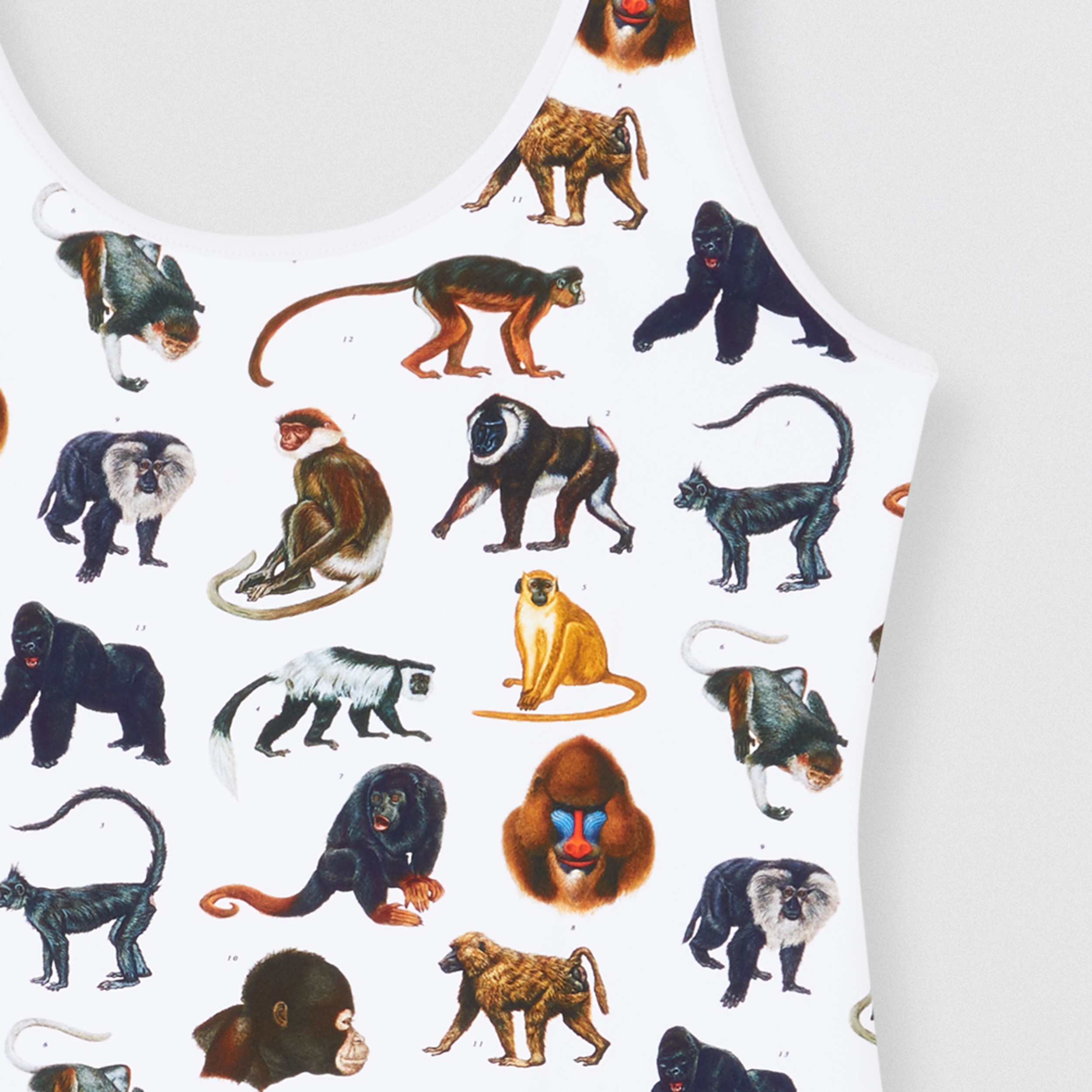 Monkey Print Swimsuit Women Burberry United States