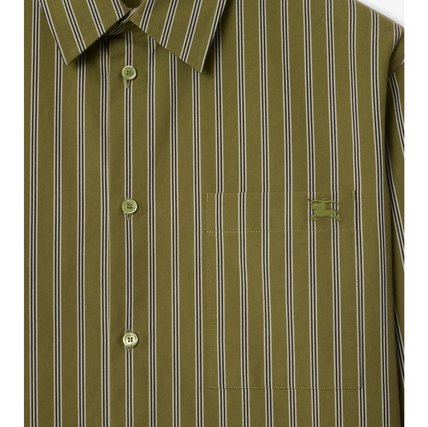 Regular Fit Striped Cotton Shirt in Wreath green - Men | Burberry® Official
