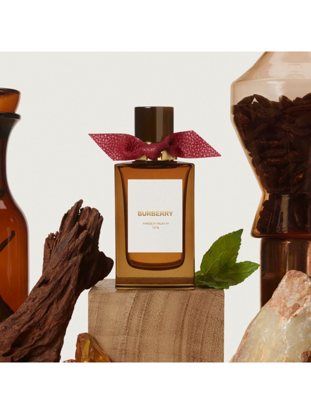 Burberry fruity online amber