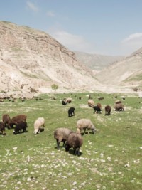 Going beyond for biodiversity