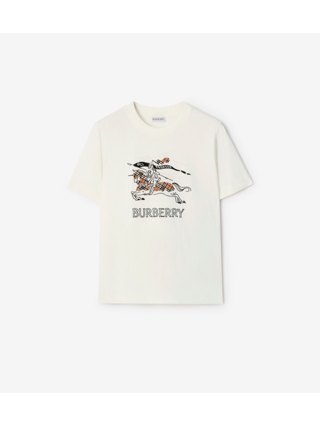 F0C1061F-765D-47F9-8DA9-