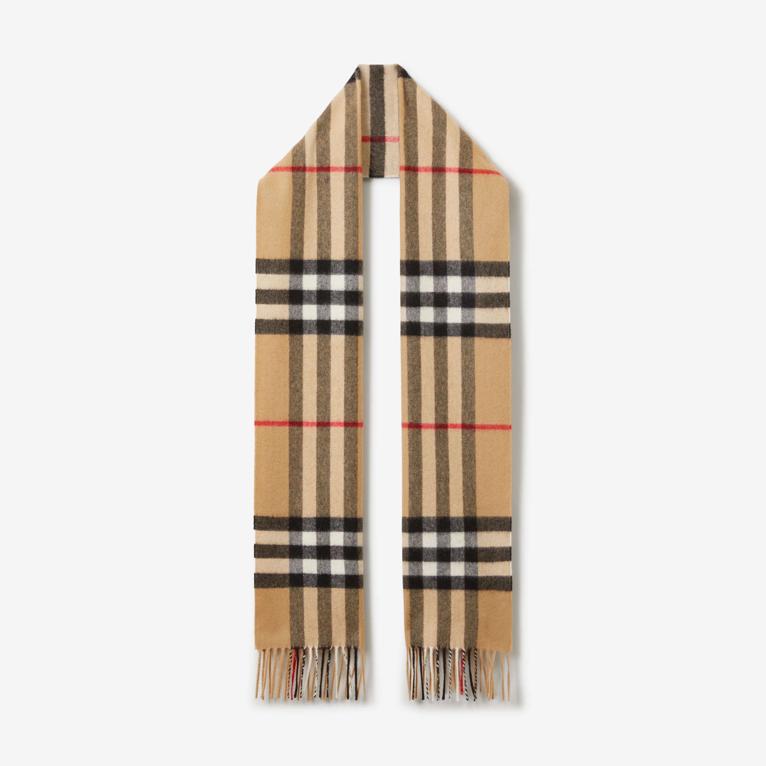 burberry stole price in india