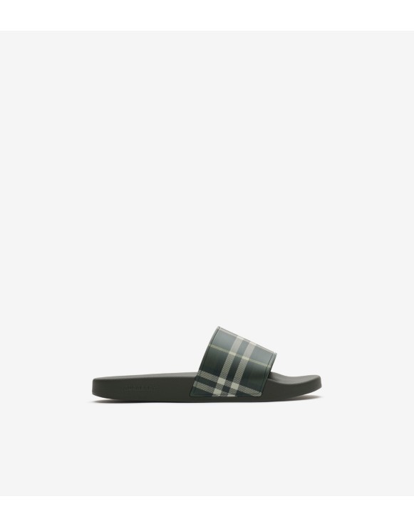 Check Slides