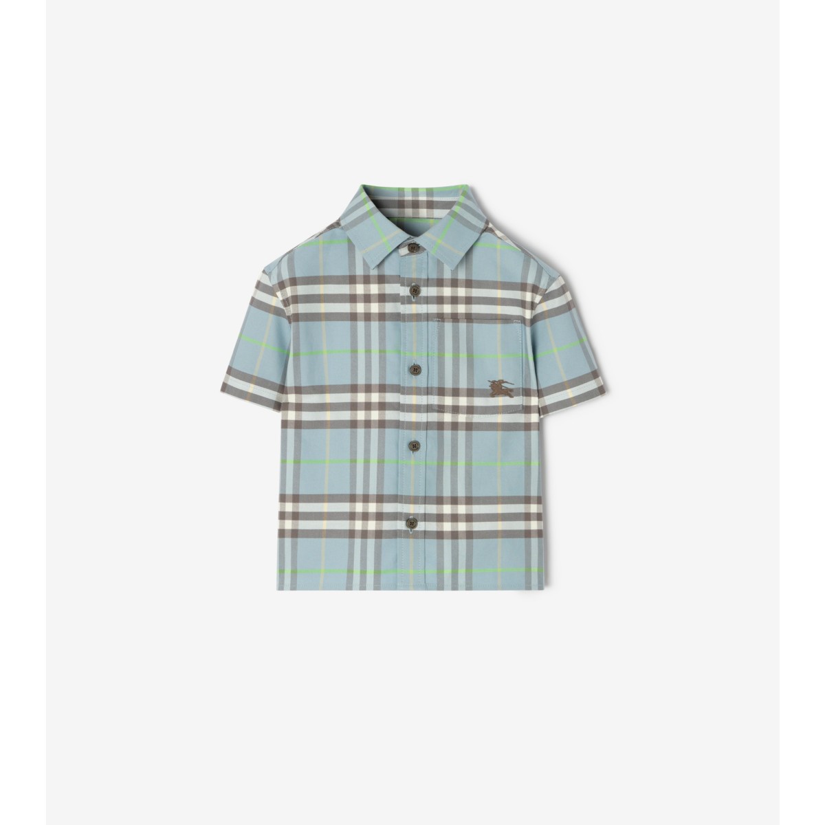 Check Cotton Oxford Shirt