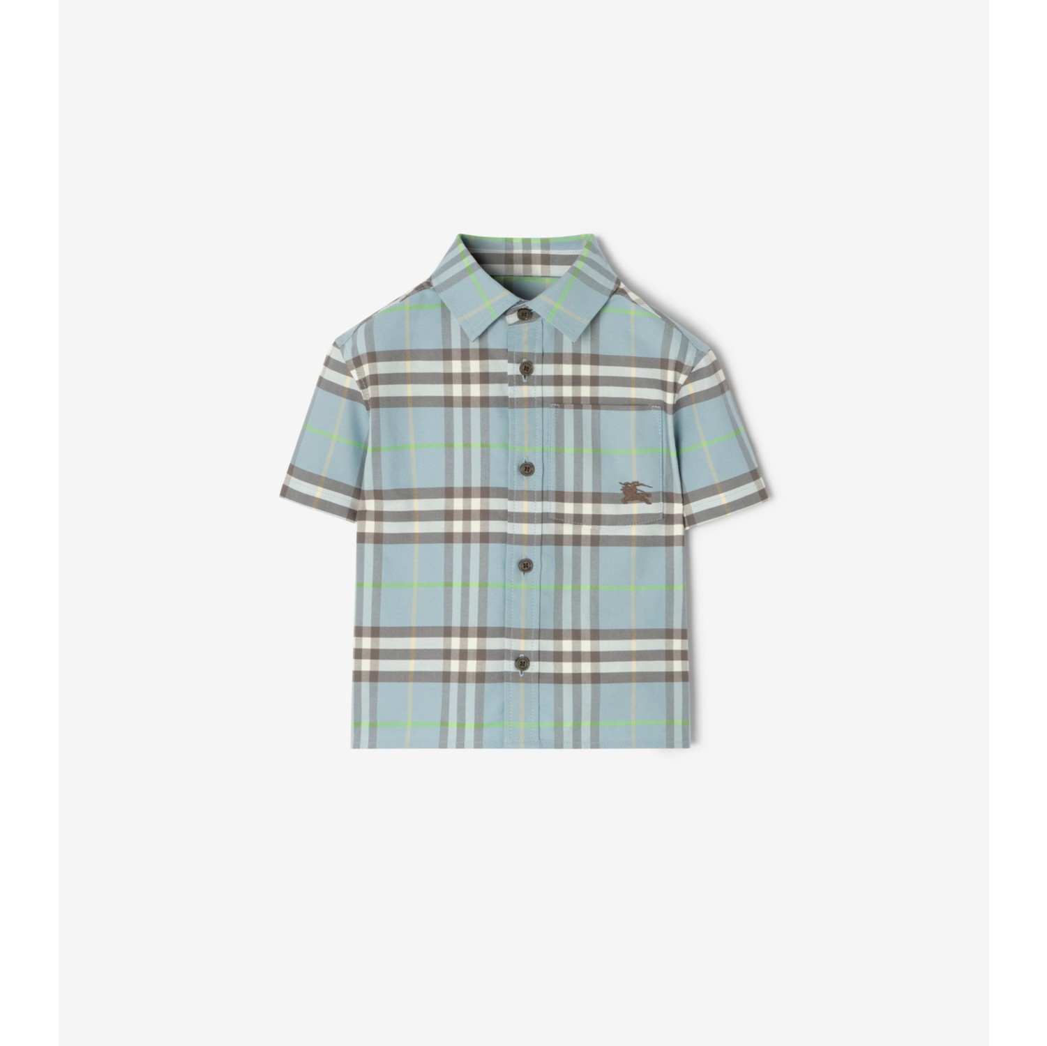 Check Cotton Oxford Shirt