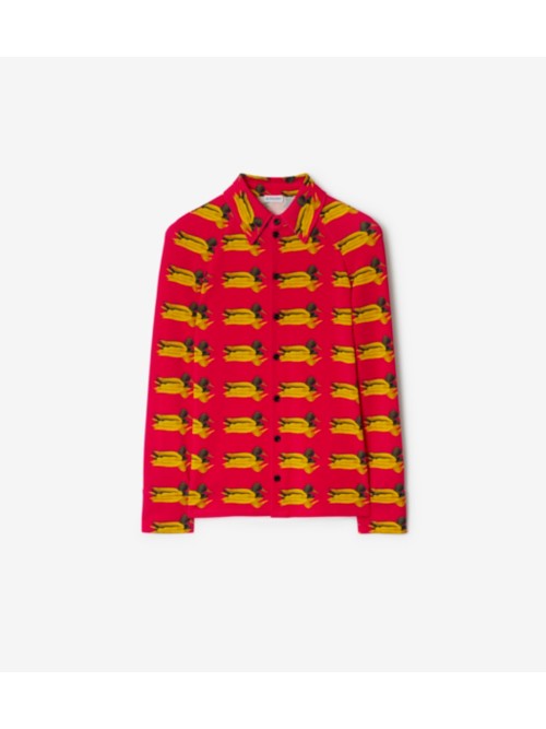 Burberry Duck Shirt In Pillar