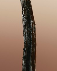 Burberry Goddess Vanilla Sticks