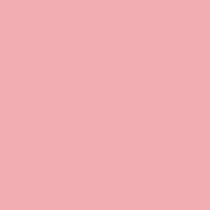 Rose Sweetpea