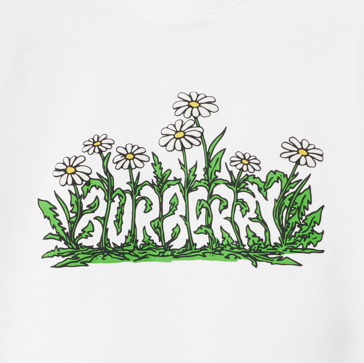 デイジーロゴ コットンTシャツ (ホワイト) | Burberry®公式サイト デイジーロゴ コットンTシャツ (ホワイト) | Burberry®公式サイト