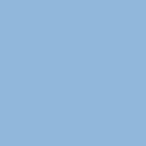 Blue havana/silver