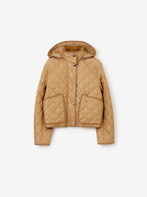 Burberry Cropped Quilted Nylon Jacket In Brown