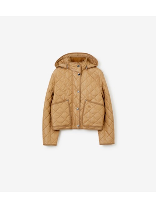 Burberry Cropped Quilted Nylon Jacket In Brown