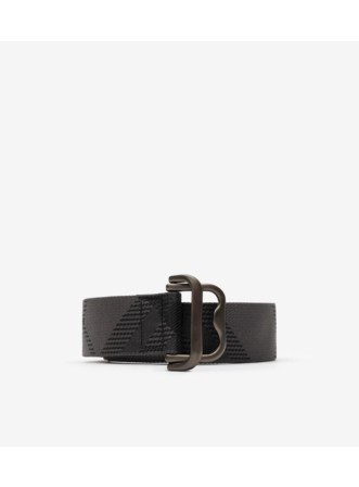 Check Webbing Belt in Sand beige - Men, Nylon | Burberry® Official