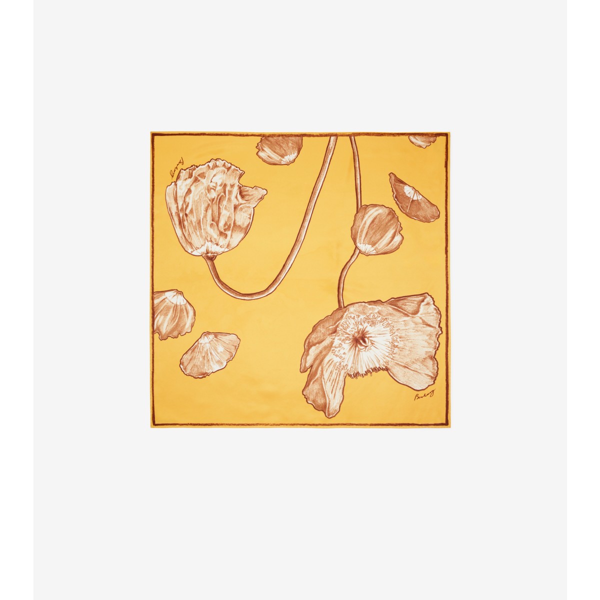 BURBERRY BURBERRY POPPY SILK SCARF 