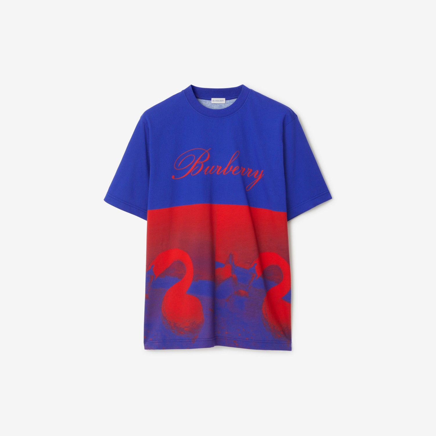 スワンプリント Tシャツ (ピラー) - メンズ | Burberry®公式サイト