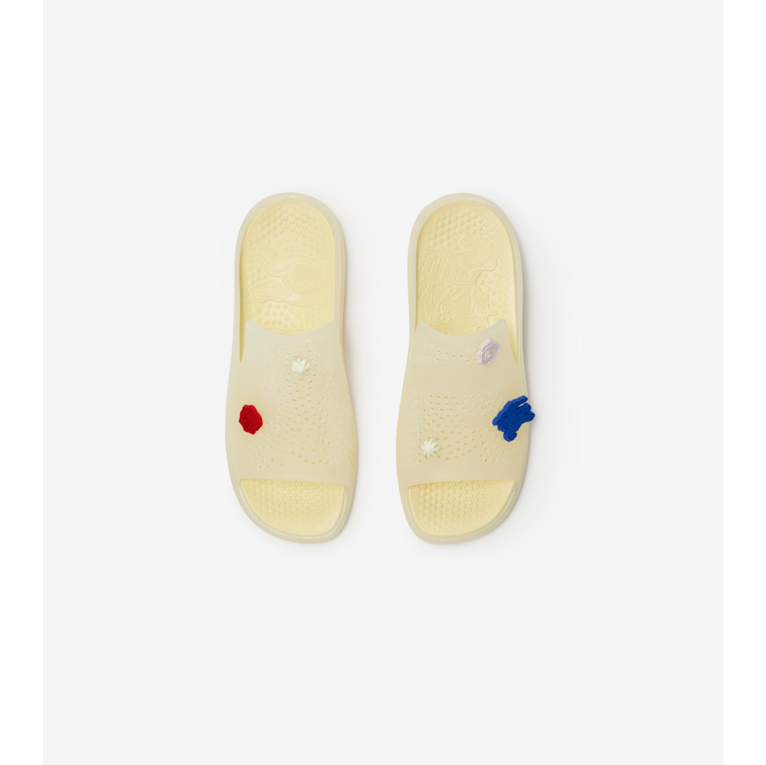 Rubber Stingray Slides