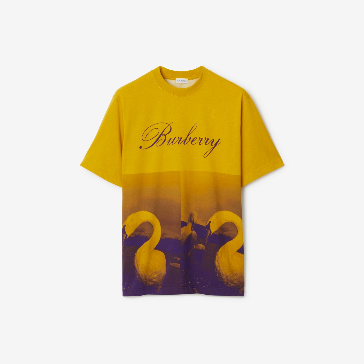 Swan Print T-shirt in Pear - Men | Burberry® Official