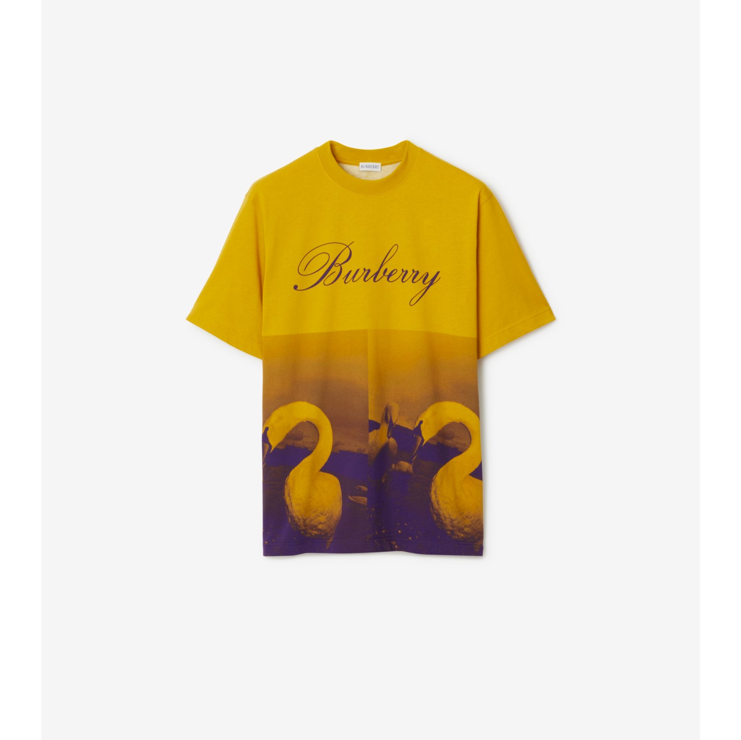 Burberry t shirt store gold