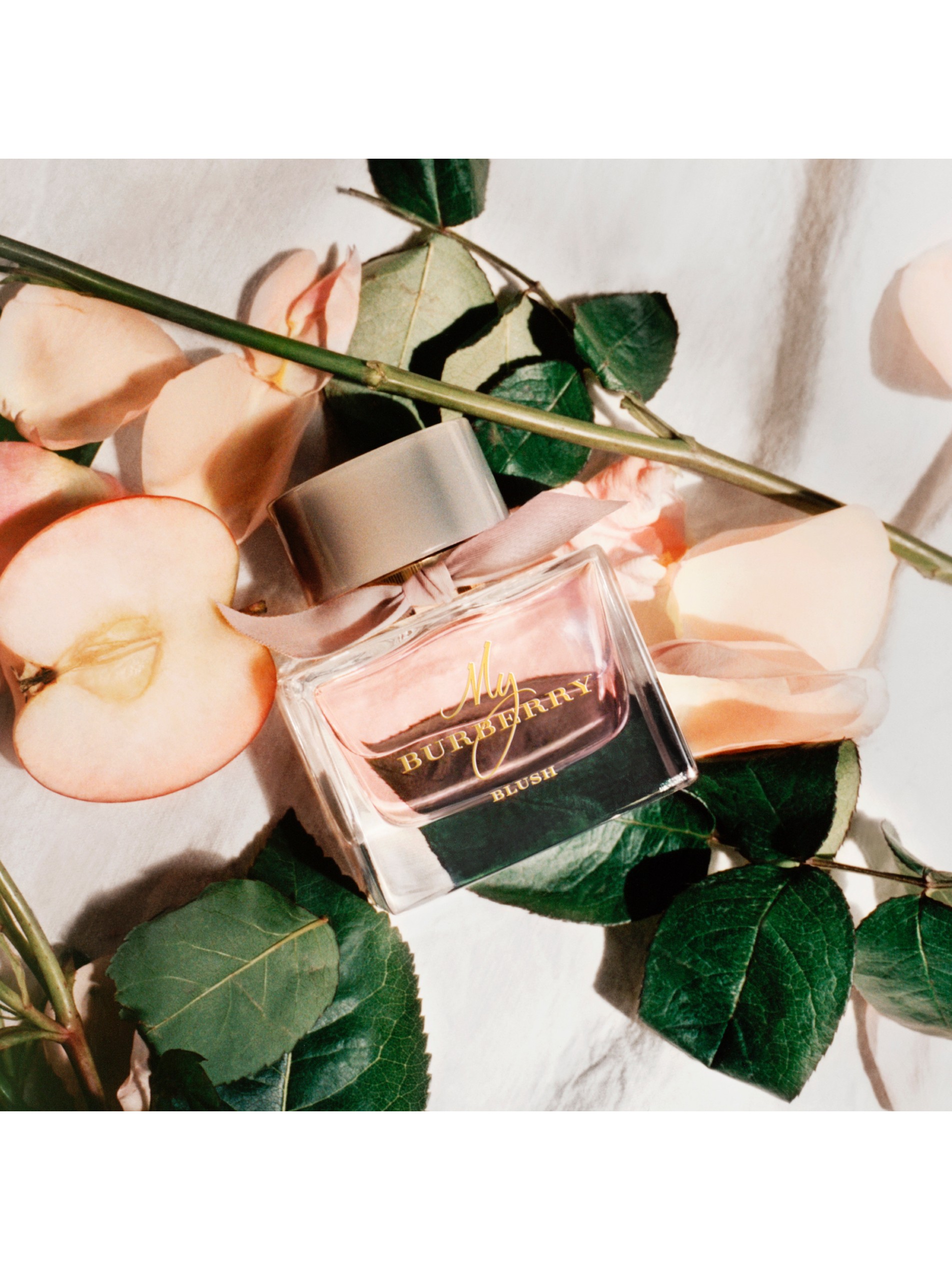 一起来看看my burberry blush 我的博柏利花之绯香水 50ml 女士