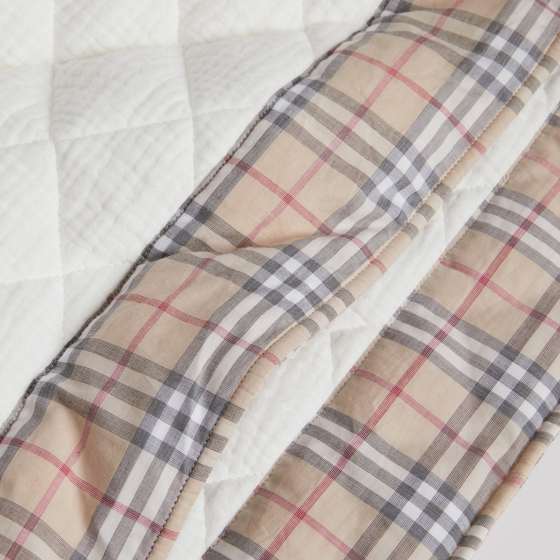 Burberry Baby Blanket IUCN Water