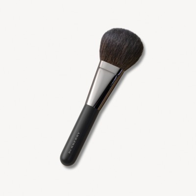 burberry makeup brush set