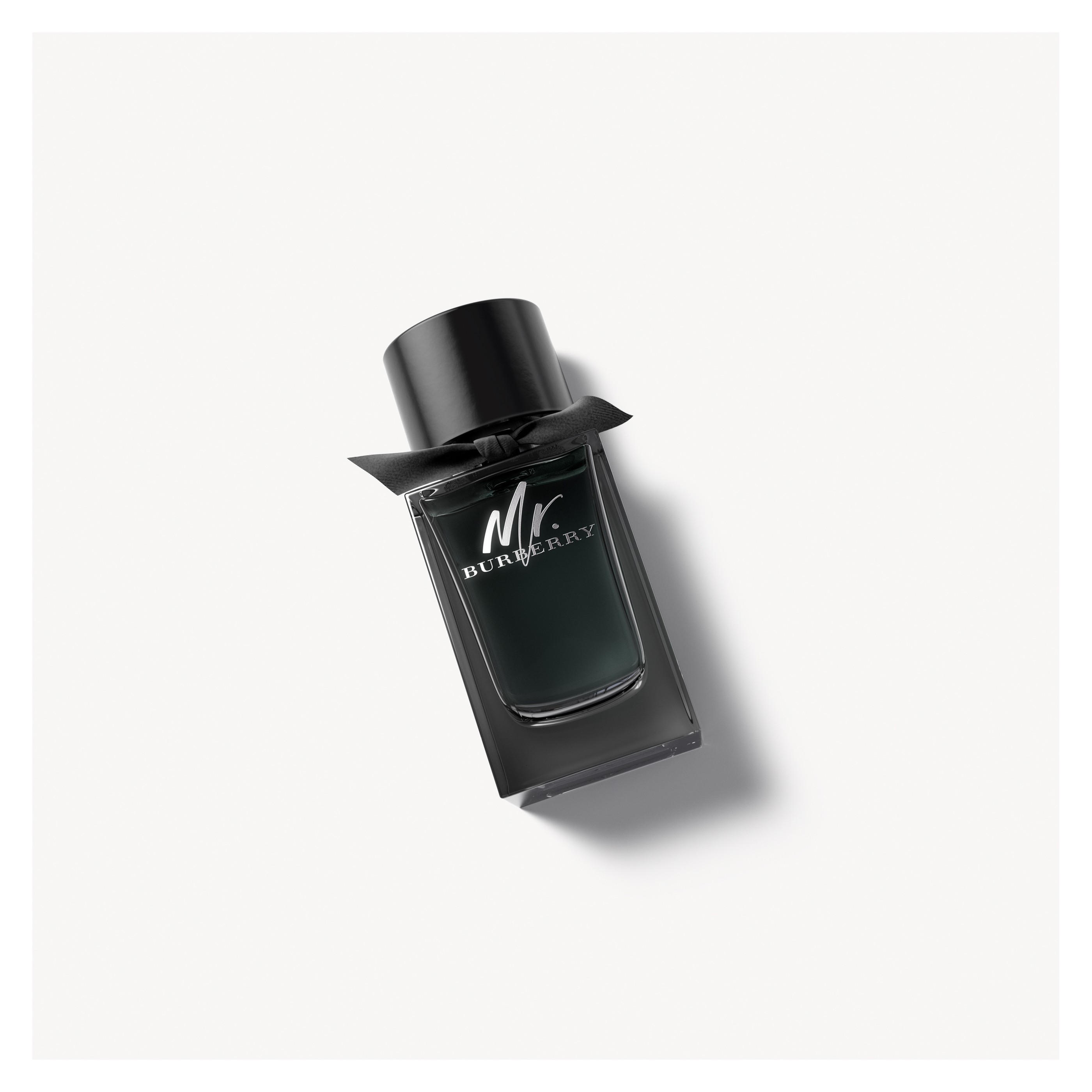 overschot voorkant Gebeurt Mr. Burberry Eau de Parfum 100ml - Men | Burberry® Official